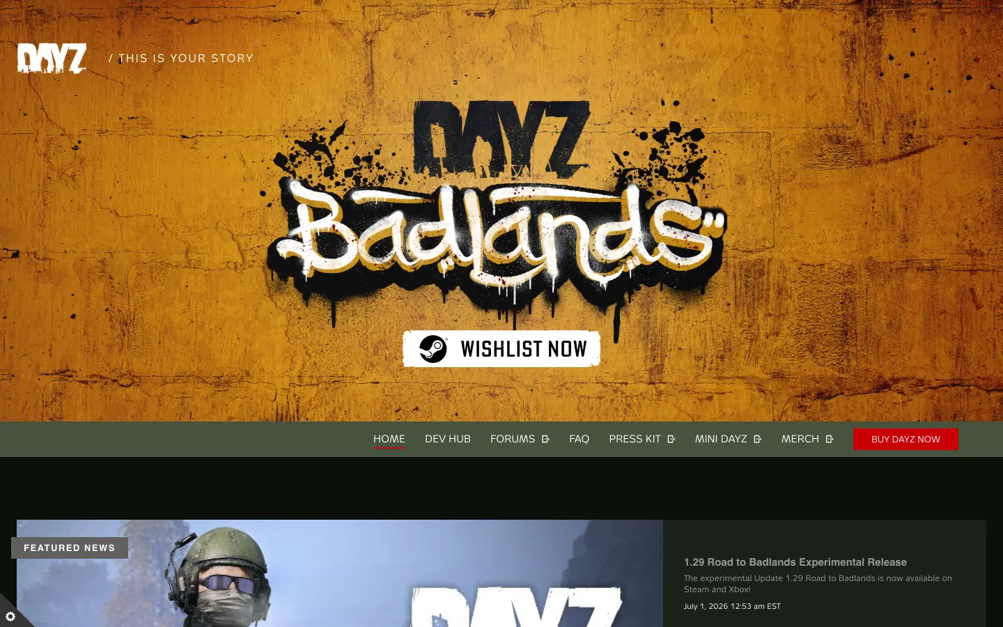 DayZ — screenshot